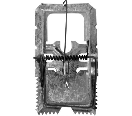 TRAMPA P/ RATA  - GRANDE